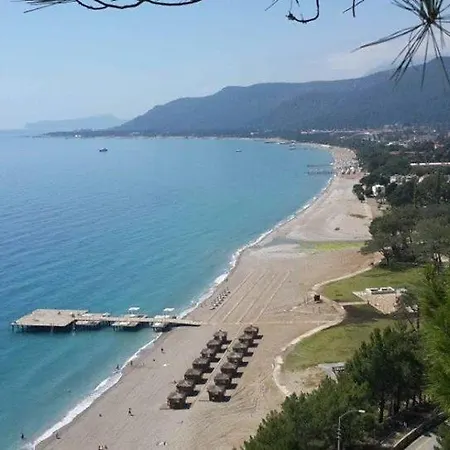 Gizli Koy *